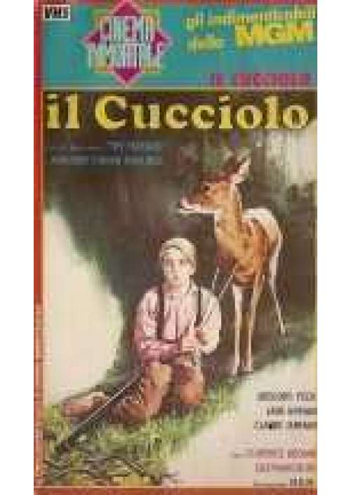 Il Cucciolo