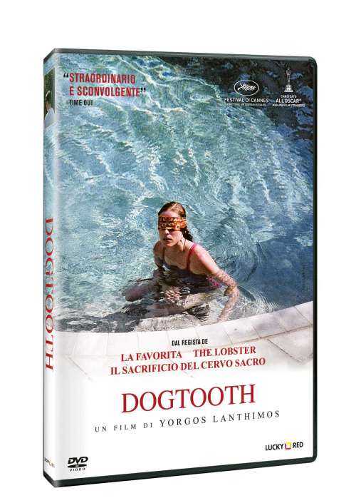 Dogtooth