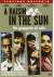 Raisin In The Sun (A) - Un Grappolo Di Sole