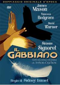 Il Gabbiano