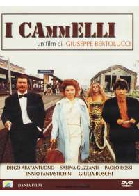 I Cammelli