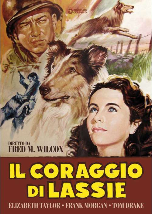 Il Coraggio Di Lassie