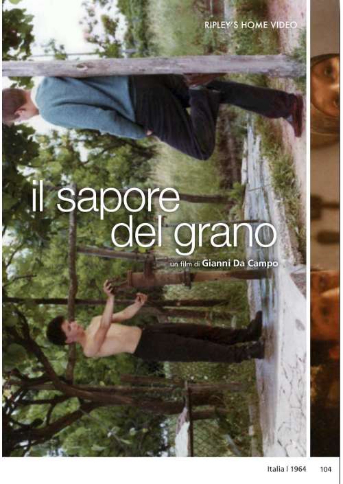 Il Sapore Del Grano