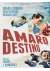 Amaro Destino