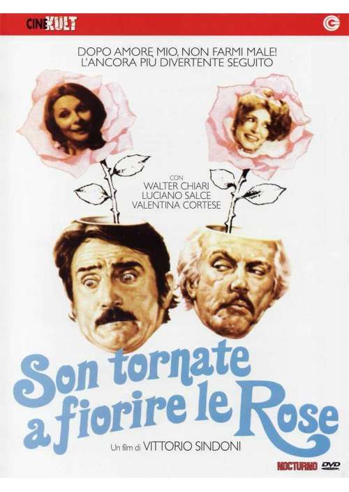 Son Tornate A Fiorire Le Rose