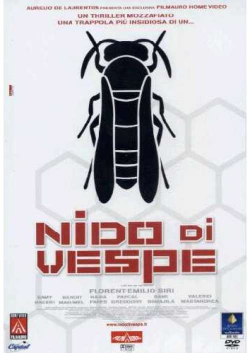 Nido Di Vespe