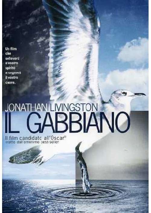 Il Gabbiano Jonathan Livingston